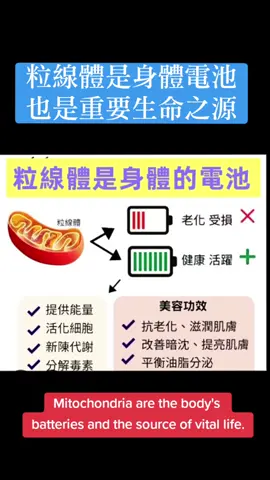 #細胞粒線體健康決定老化問題 #細胞粒線體 #全身電源 #太赫兹兆能仪p90 #pemf脈衝電磁 #細胞充電太赫茲 #內臟脂肪 #水肿肥胖 #DT心血管保養 #心肌梗塞 #血栓 #預防中風 #三高慢性疾病 #睡眠品质提升 #身心灵平衡 #健康生活方式 