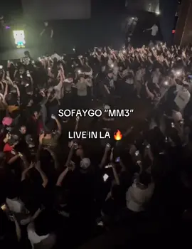 #sofaygo #travisscott #concert #fyp 