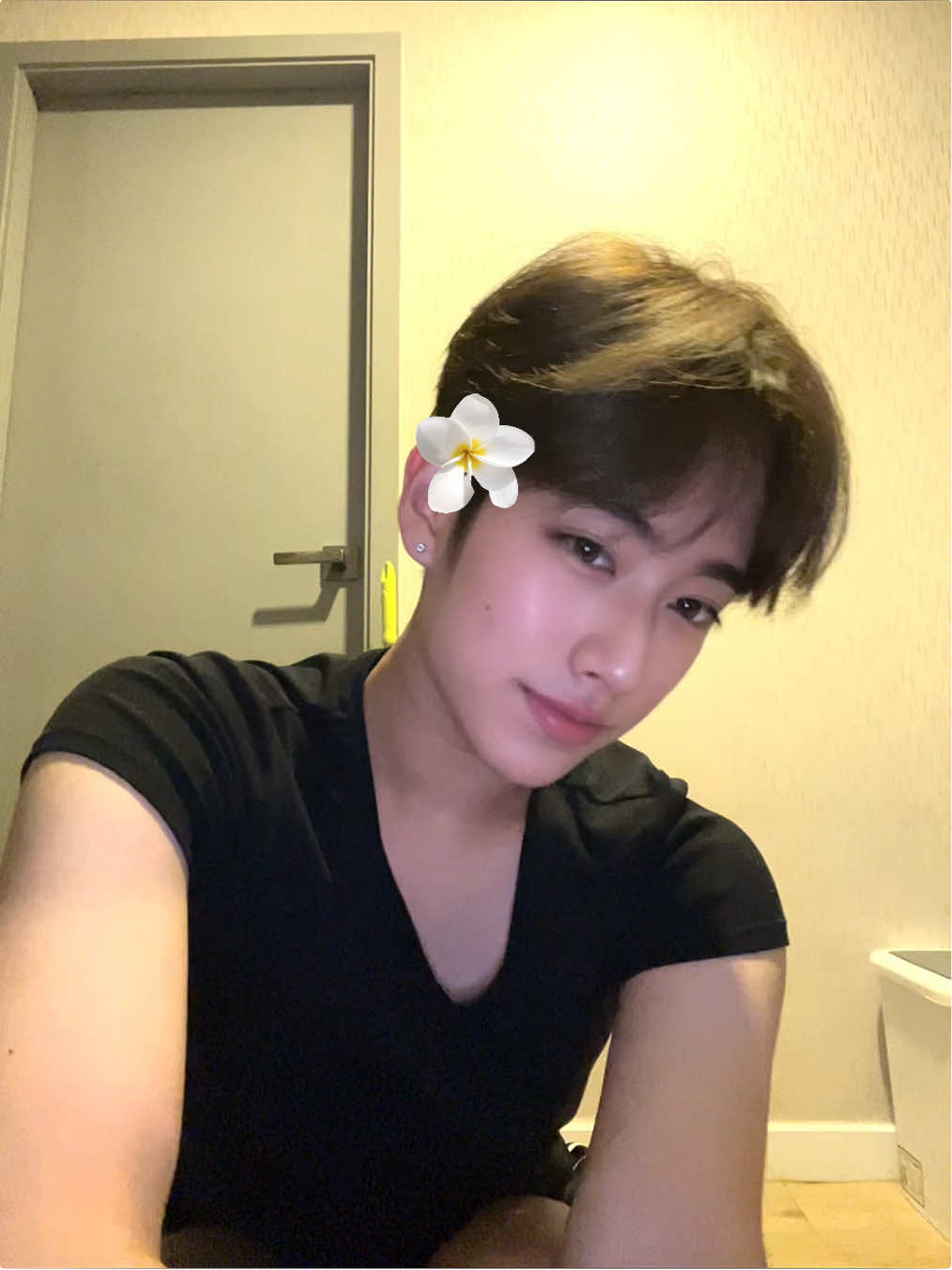 ชบาแก้วล่ำบึ่ก#fyp #mlm 