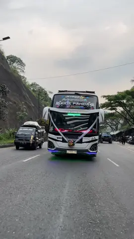 kids panda x terowongan nagregg 🤩🥵  @AGUNG KIDSPANDA  @officiall kids panda  #fyp #busjb5 #busmaniacommunity #buslovers #tembus1m 