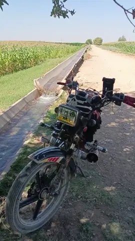 #متابعه_ولايك_واكسبلور_فضلا_ليس_امر#بلاد_الرافدين #بلادي_اليمن #بلاد_الشاَم #سوريا #حلب_الشهباء #الحسكه_الرقه_ديرالزور_القامشلي##سوريا#ريف#حلب#الشرقي#دمشق#درعا #حمص#حماه#ديرالزور #ادلب#الرقة #الحسكه_الرقه_ديرالزور_القامشلي @محمد الرفاعي (ملبوسات الرفاعي) @ibrahim_salih @Amir @سٖٓܔسنٖيٰٰٰٰٛ🖤️♻️🥷🏻 @🍁👑حلبي اكابر👑 🍁📸 @فہٰۓٰﹻخامہٰۓٰﹻهہٰۓ رجہٰۓٰﹻل @مــزاجــي 💚 🩵 @ابراهيم الموالي919 @أبو عادل الحلبي @أبــا الـــ✦༃ـبراء 🍂 @سٖٓܔسنٖيٰٰٰٰٛ🖤️♻️🥷🏻 @᜴𓅂ه‍ـمشري@السفيرة مباشر🟢 @چێشتخانە و برژاوی هەنیئ 