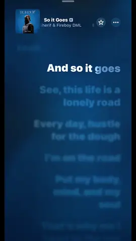So it goes - Black sheriff & Fireboy DML #soitgoes #blacksheriff #fireboydml #lyricsvideo #applemusic 