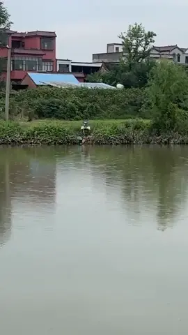 bữa nay bao no...