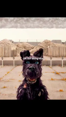 He never bit once… ❤️ In Wes Anderson’s stop-motion masterpiece Isle of Dogs, an executive decree from the authoritarian Mayor Kobayashi banishes all canine pets of Megasaki City to Trash Island, a sprawling wasteland of refuse and decay. Amid this harsh exile, 12-year-old Atari Kobayashi, the mayor’s ward, bravely takes matters into his own hands. Piloting a small Junior-Turbo Prop across the river, Atari sets out on a desperate quest to find his beloved bodyguard-dog, Spots. On the island, he encounters a ragtag pack of outcast mongrels—each with distinct personalities, quirks, and histories of abandonment. With their help, Atari embarks on a dangerous and heartfelt adventure that grows far beyond a simple rescue mission. Together, they uncover political corruption, confront the fear and prejudice that led to the dogs’ banishment, and ignite a struggle that will ultimately shape the destiny of the entire Prefecture. h/t: @🪐 