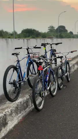 Blue gank #commuterbike#cikarang#sepedakalcer#fyp#demam26