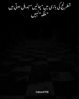 اگر بخت رہا تو تخت بھی میں ضرور بدلو گی #searchcreatorinsight  #simplemotivatequt  #selfgrowth  #inspiration  #positivemindset 