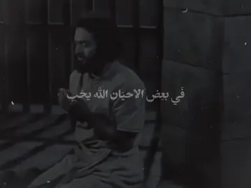 #مشاهدات #السيد_محمد_رضا_الشيرازي #الشيخ_احمد_الوائلي #الشيخ_علي_المياحي #الشيخ_حازم_الباوي 