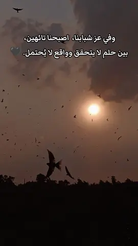 عايز تطير بي احلامك ❤️‍🩹🖤 #حزين #حلات_حزينه #اقتباسات #مصمم_فيديوهات🎬🎵 @الكئيبـ🥀 @𝔼ℕ𝔾𝔸𝕙𝕞𝕖𝕕𝕊𝕒𝕕𝕠𝕦𝕟🧿 #احمد_حلمي