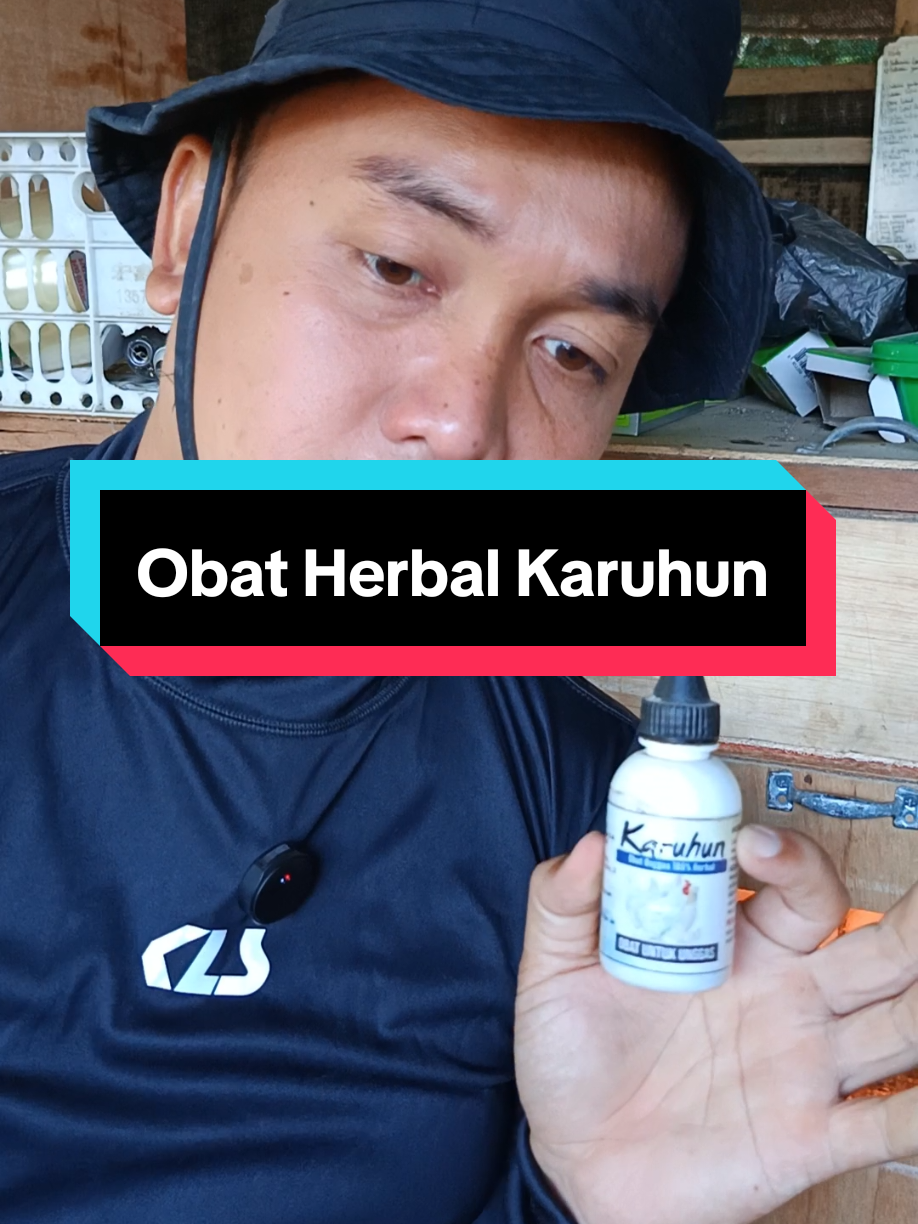 Obat Herbal Karuhun #karuhun #obatherbal #antitumpah #Ternakayam #fypシ゚ 