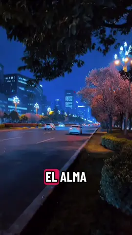 #LanguageLearning muy sierto tenemos q aprender a valorar a nuestros padres 