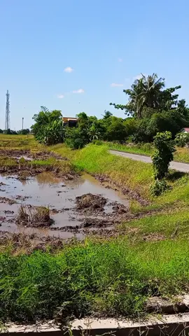 #rtbgroup #gengtelagabatu