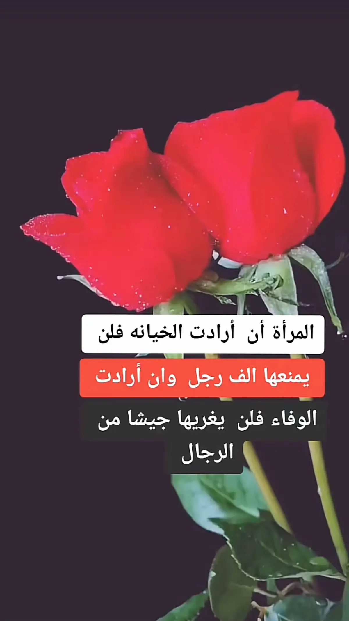 #اقتباسات_عبارات_خواطر🖤🦋❤️ #عبارات_جميلة_وقويه😉 #عبارات_حزينه💔ذكـ҉ৡـريــا༊ت🥀 #ذي_قار #قضاءالشطرة🌹💔 