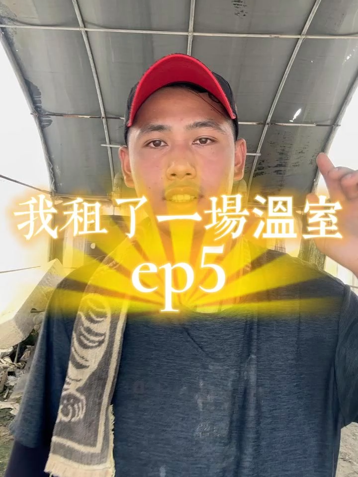 這集教大家驗土，解決土壤後，下一集就要公布大家最關心的租金問題XD #我租了一場溫室 #溫室栽培