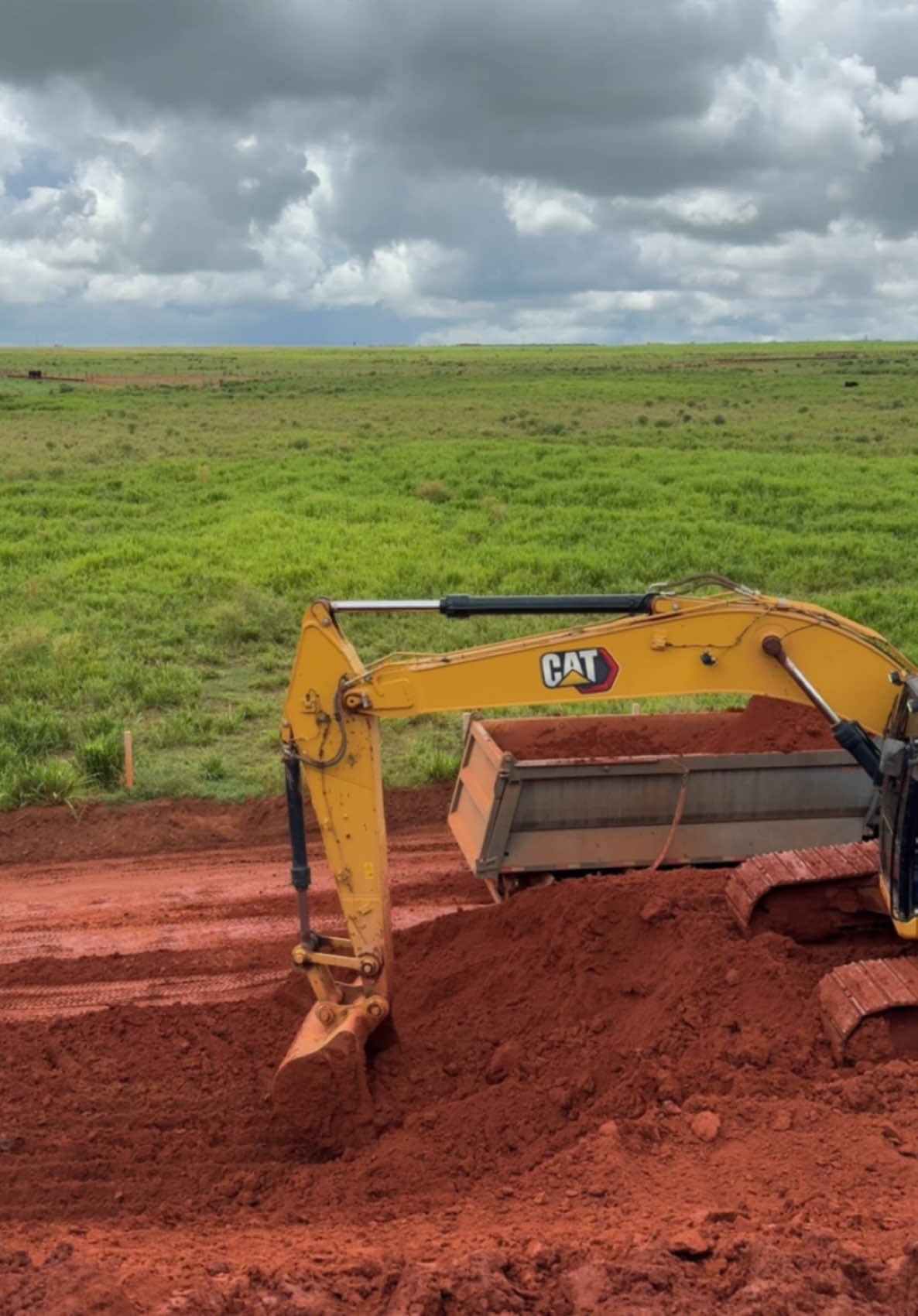 Concha de ouro. 😍