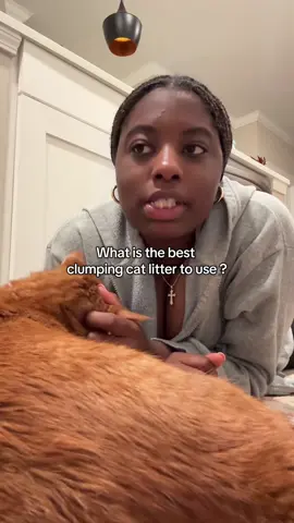 What is the best clumping cat litter to use ?  Comment down below your suggestions 🐈#jasminekcapers #fyp #catsoftiktok #catparent #catmom 