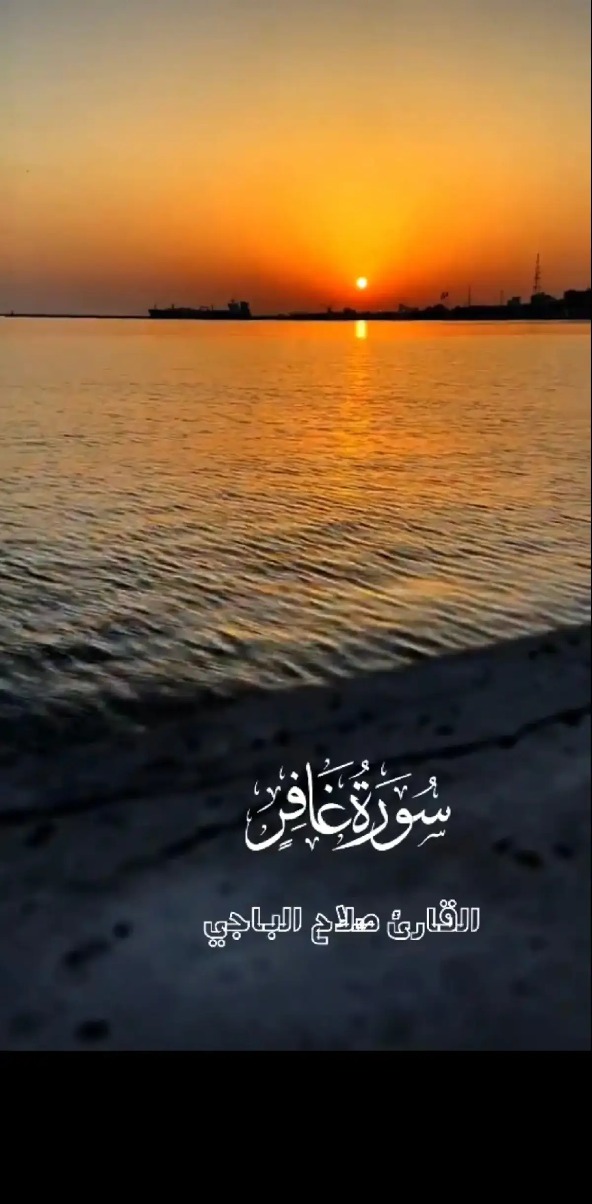#صلاح_الباجي 