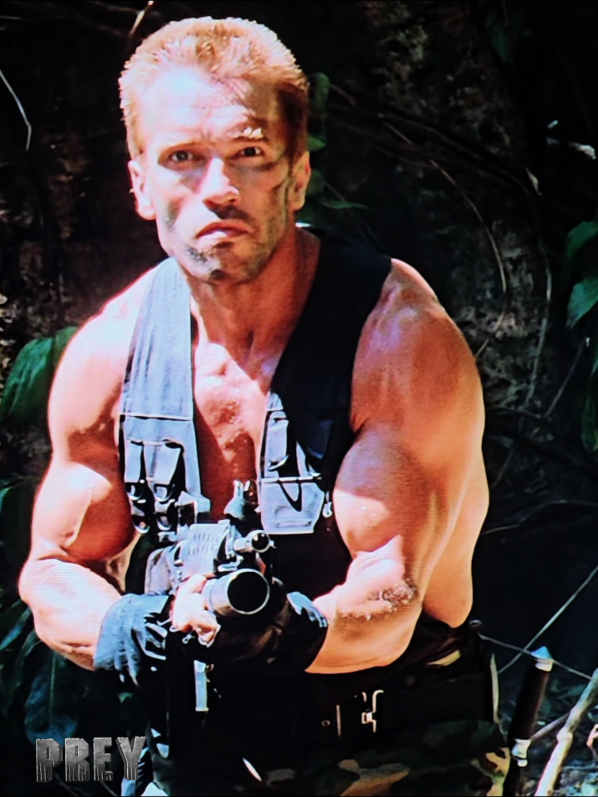 #arnold #schwarzeneggermovies #movie #predator #kino 