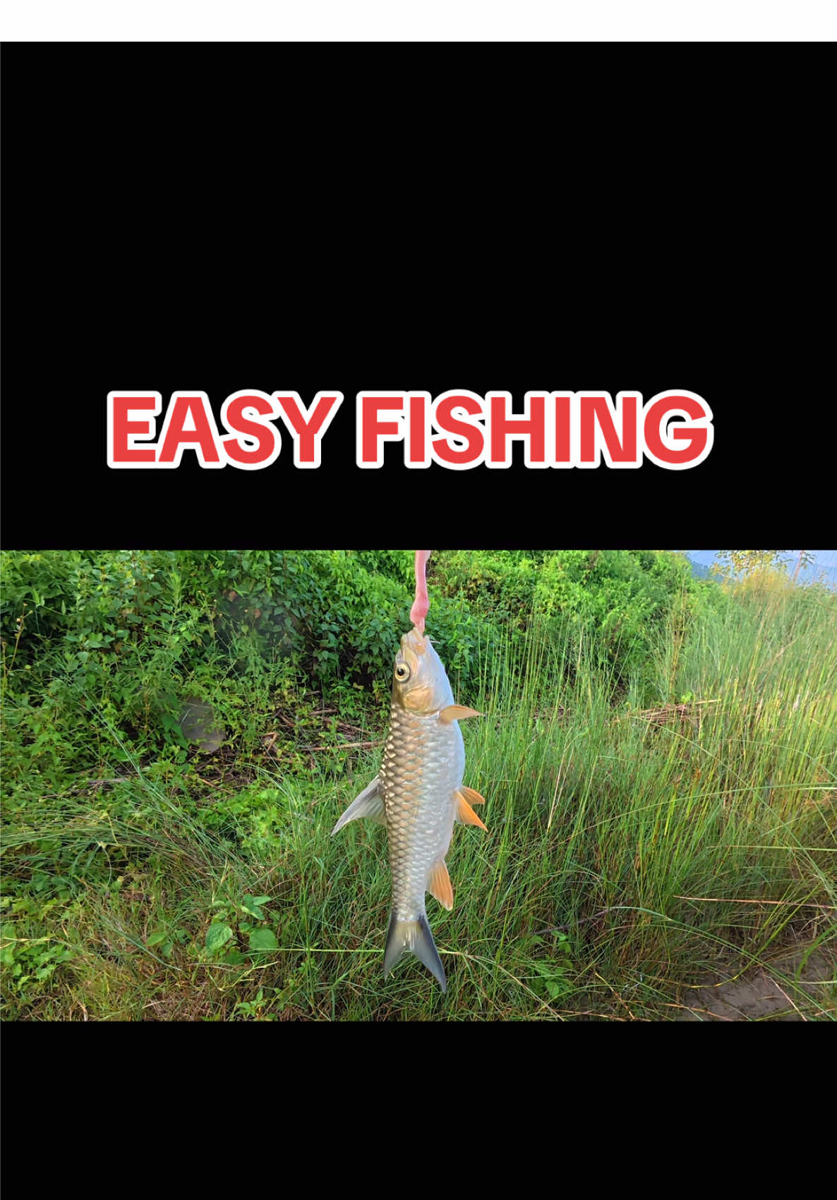 SIMPLE FISHING METHOD | FISHING IN NEPAL  #foryoupage #fyppppppppppppppppppppppp #trending #fishing #fishingvideos @Roshanxtha @Ravi ale magar @Bibek Cracetha 