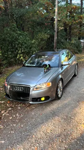 Mercedes #weinerdog #dachshund #audis4 #fypシ゚viral #fypage 