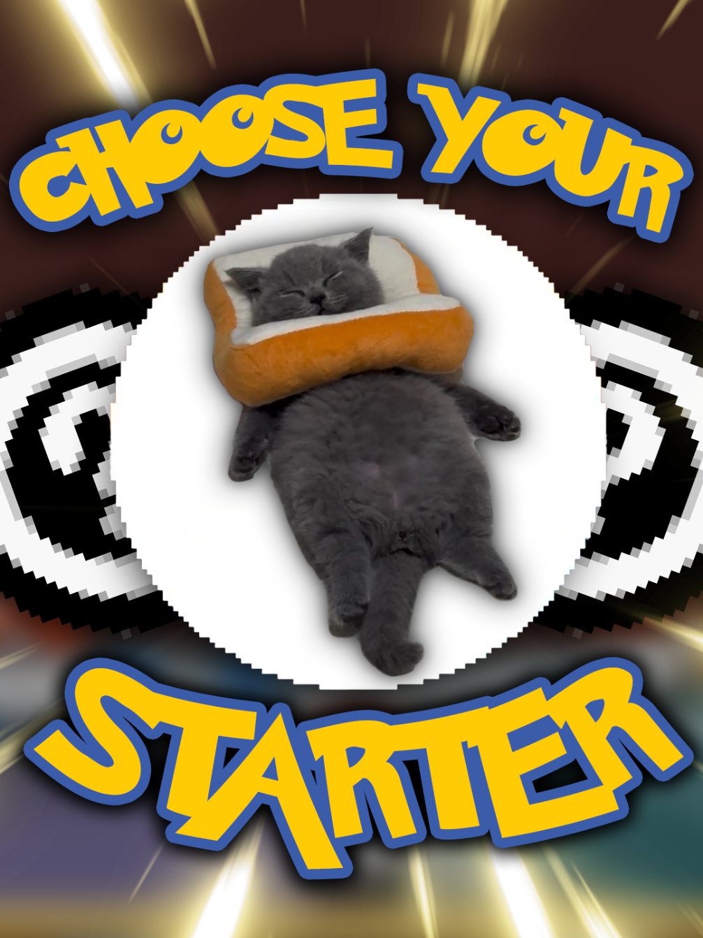 Which Starter Pokemon are you choosing? (65th TikTok edition) Comment down below! #pokemon #pokemontiktok #cats  #pokemonedit #nostalgia 