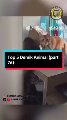 Top 5 Demik Animal (part 76) @Demik Animal Official  #hewanlucu  #dubbing  #ngakak  #fyp 