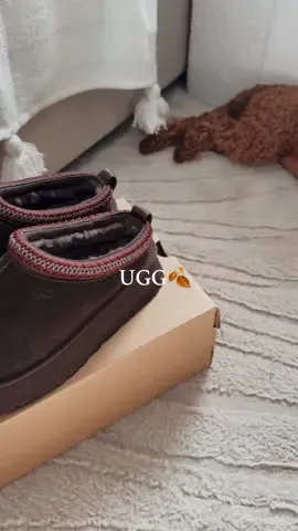 przepadłam ☕️🤎 #uggtazzplatform #uggtazz #ugg #poodle #autumn 🍂 ugg tazz ii 
