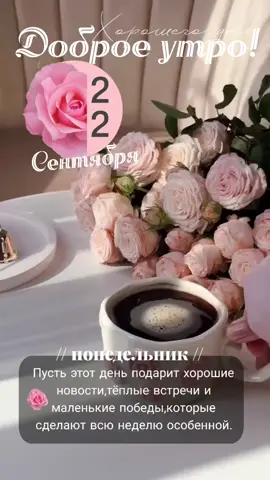 #22сентября #понидельник #новинки #доброеутро #новыйдень.