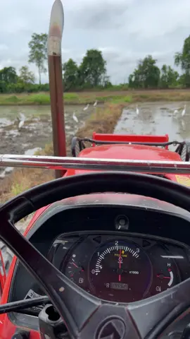 เสียงนุ่มๆแอบลั่นนิดๆพอจะพิชิตใจใครได้บ้างมั้ยครับ#รถไถซิ่งหนองตะแบก 