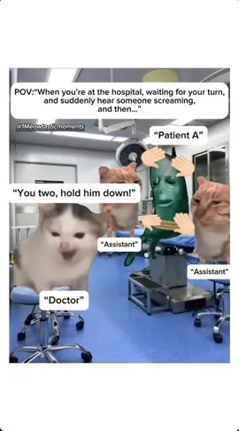 😭😆 . . . . . . . . . . . . . . . #catstagram #meow #cats #viral #catlife #catlovers #Love #cutecats #video #reels #reelsinstagram #reelsvideo #reel #instagram #instalike #insta #viralvideos #viralreels #meme #memes #followme #follow #fyp:› #drama #catmemes #daily #dailymemes #dailycat #instamood #relatable #funny #tiktok #funnytiktok #funnyvideos #funnymoments #funnyanimals #funnycat #animals #tiktokviral #viral #cat #catlover #drunk #truelifestory