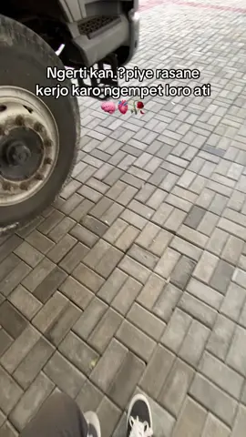 🥀#fypシ゚ #drivermuda #sodrekersindonesia #truckmaniaindonesia #pesonatrukindonesia 