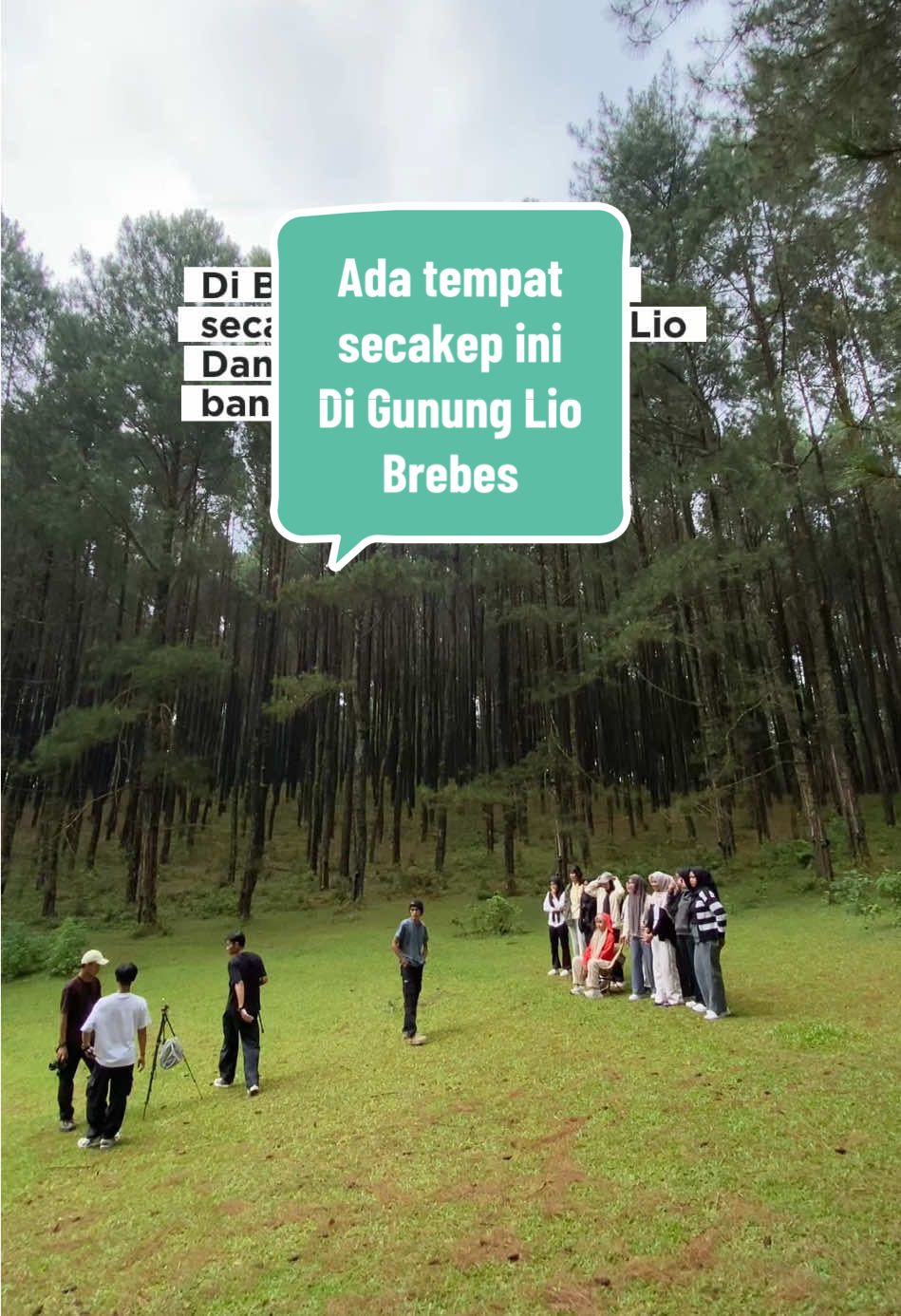 Ada tempat cakep banget di gunung lio Brebes. Namanya Taman Halimun Lokasinya di tengah hutan lio. #brebes #gunungliobrebes #gununglio #explorebrebes #pesonabrebes 