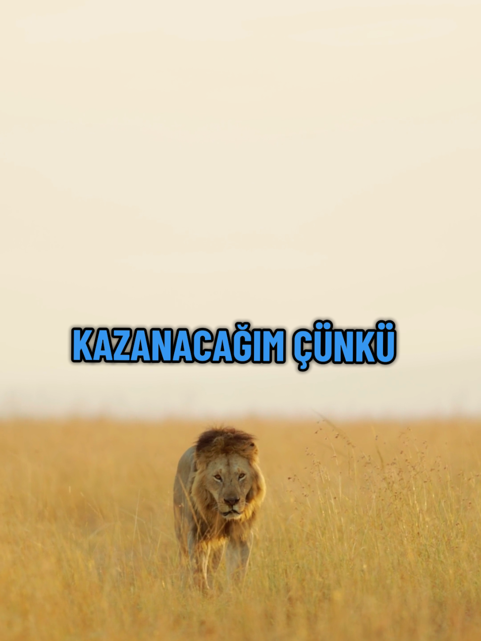 başka planım yok başarmak zorundayım. #motivasyon #başarı #foryou #fyp 