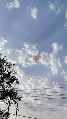 #الجو هالفترة متقلب كثير 🌥️🍂🤎#كاب كات #تيك توك#فصل الخريف #الشعب_الصيني_ماله_حل 