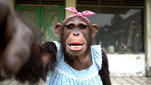 Kelakuan mas bambang 🤭