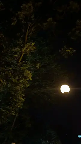 فيديو بدون صوت #🤍✨️  لتصميم القران #🤍✨️  مصممين قران #🤍✨️  فيديو بدون حقوق #🤍✨️ 