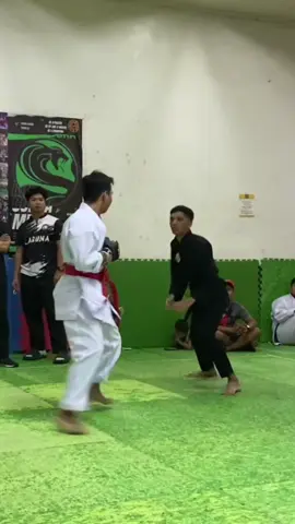 #pencaksilat #martialarts 