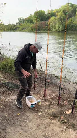 صيد الكارب بث مباشر