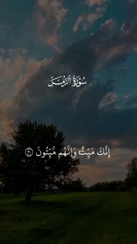 #قران_كريم #ماهرالمعيقلي 