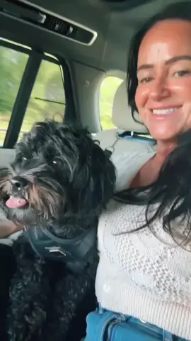 Beach Day for my Buddy 🐾. #bffsforever #Buddy #fyp 🐾 