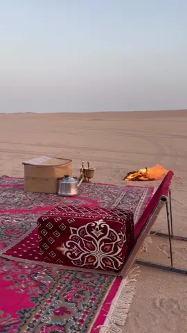 #اكسبلور #تصويري #🐪🐪 