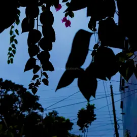 দিনশেষে এমন কিছু করবে যেনো আপনার মনে হয় ভুল টা কোথাও না কোথাও আপনারই হয়েছে। যা হচ্ছে তার সম্পূর্ণ দায়ভার একান্তই আপনার। লিখেছেন - Ashraf Ahamed কন্ঠস্বর - Nahidul Islam 