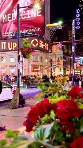 #creatorsearchinsights #canada_life🇨🇦 #downtowntoronto #toronto #foryou 