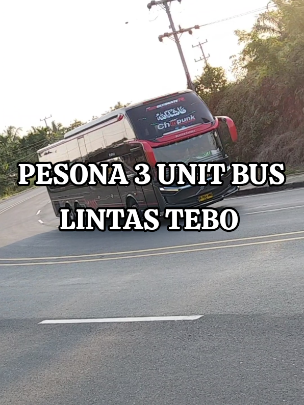 freestyle Bus A.N.S dan CHAPUNK  #bus  #cctvlintastebo  #busmaniaindonesia 