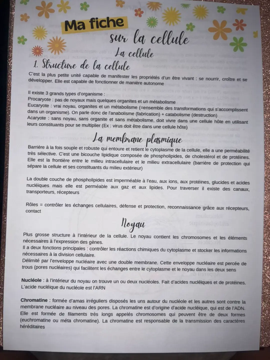 La cellule #ide #ifsi #fichederevisions #partiels 