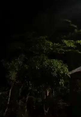 #liriklagujawa #lirics_music #bismillahfypシ 