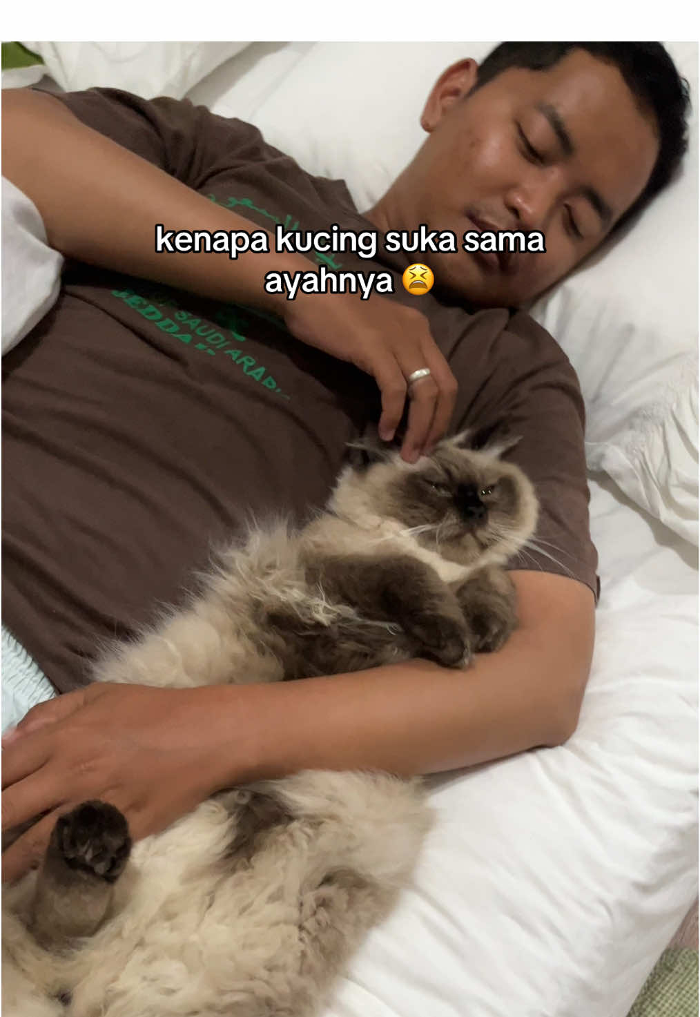 masih jadi misteri 😫 #cemong #cemongliantana #cutecat #kucinglucu #anakayah 