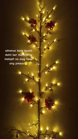 #SweetNightSmellTheHoliday #xmasslight #christmasslights #ledlight 