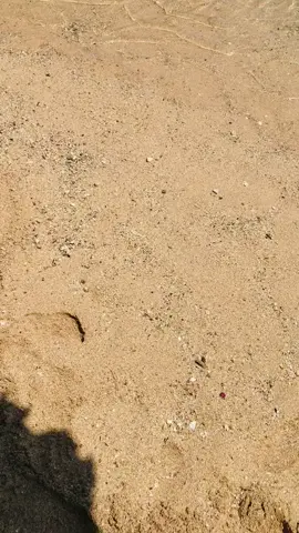 🏖#pantaikukup#gunungkidul#pantaikukupgunungkidulyogyakarta 