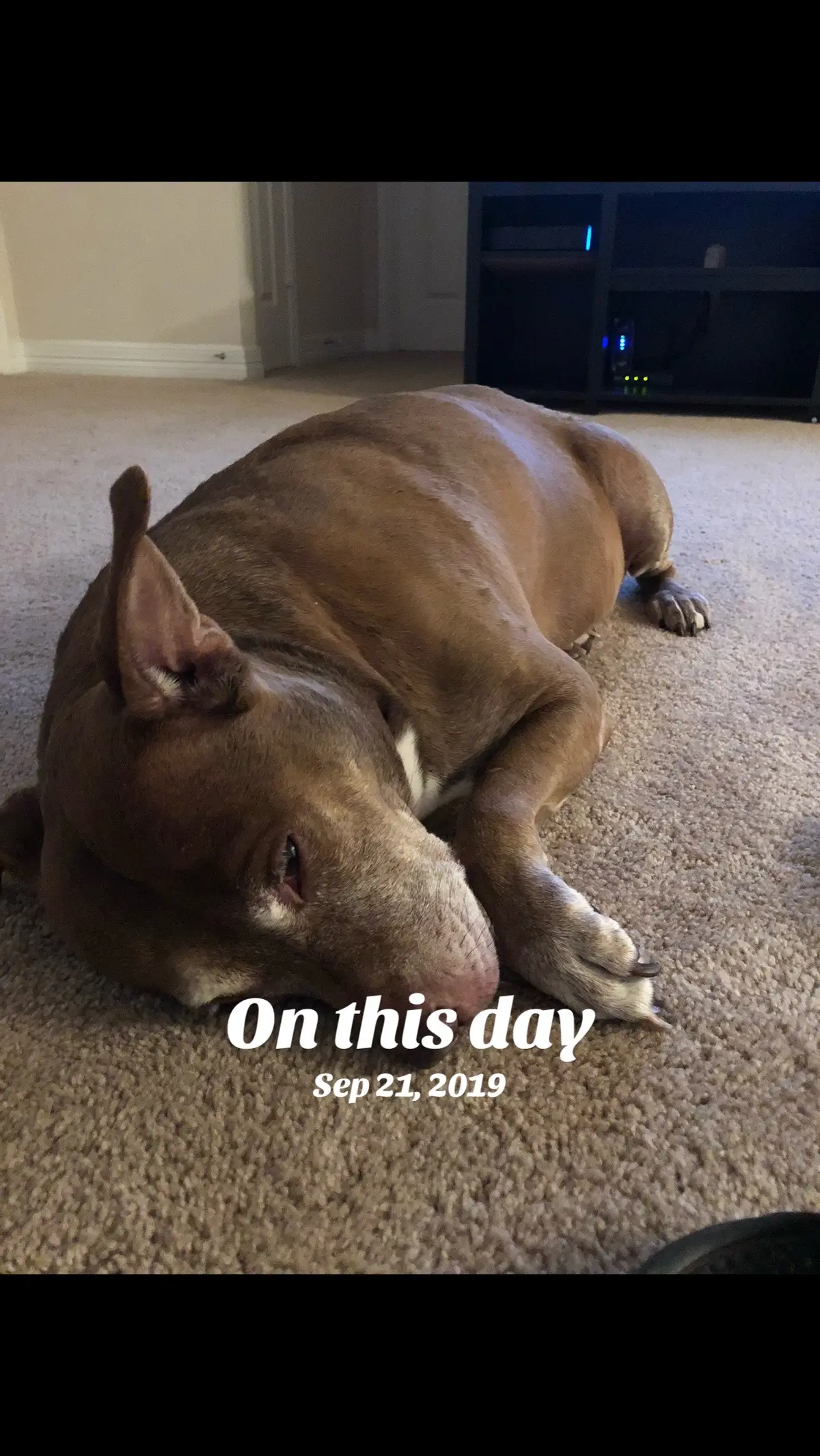 #onthisday 