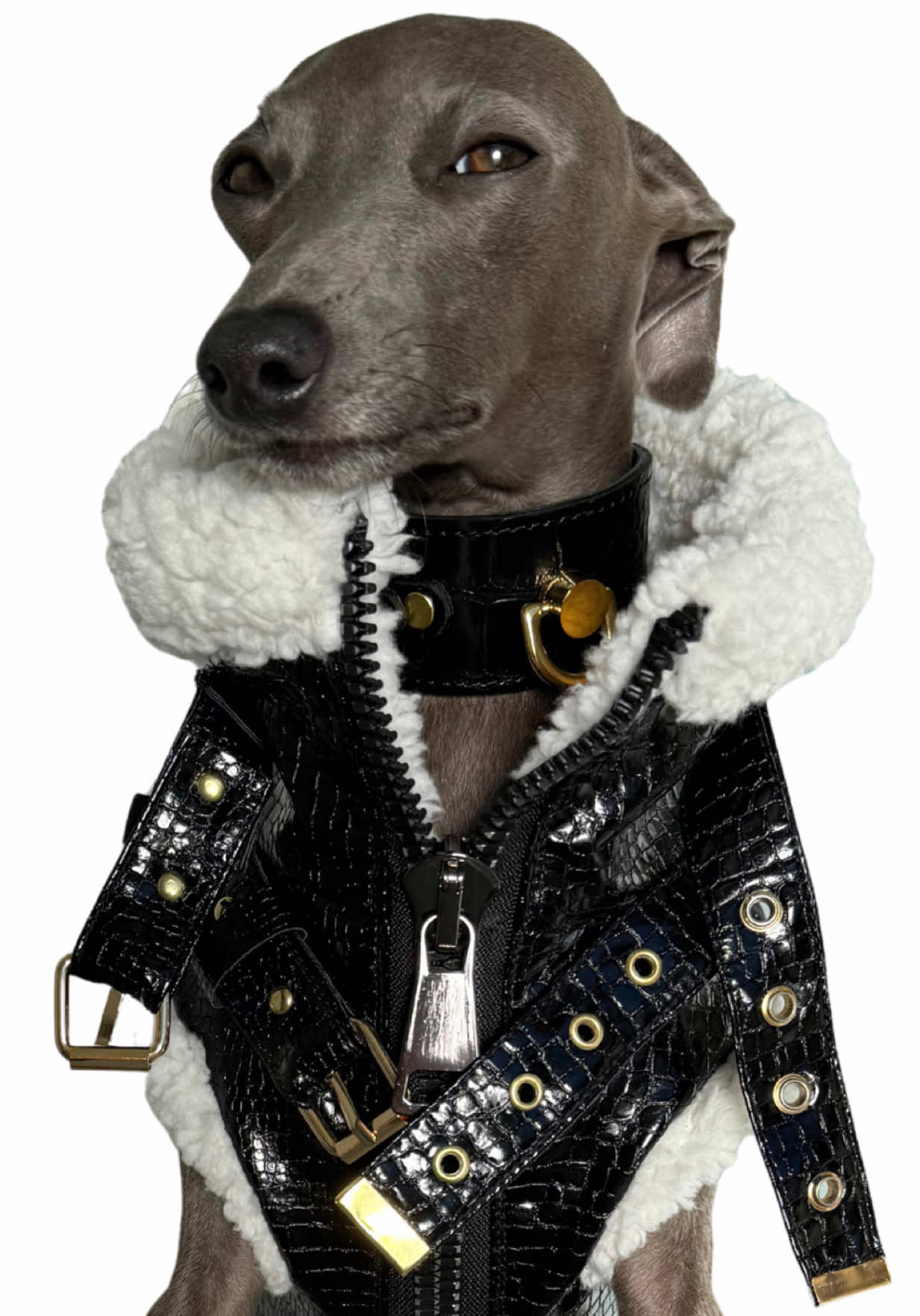 Moja muza 🖤 #fashion 